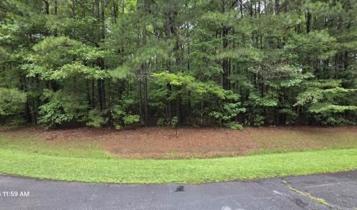 Photo #2 of Lot 53 Cleveland, Hertford, NC 4.2 acres
