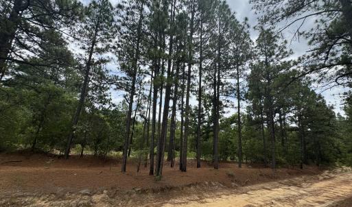 Photo #2 of Lizzie Jeter, Cameron, NC 5.7 acres