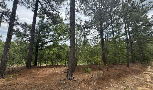 Photo #4 of Lizzie Jeter, Cameron, NC 5.7 acres