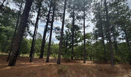 Photo #7 of Lizzie Jeter, Cameron, NC 5.7 acres