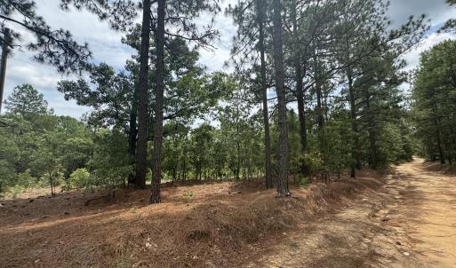 Photo #6 of Lizzie Jeter, Cameron, NC 5.7 acres