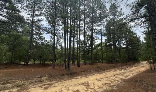 Photo #1 of Lizzie Jeter, Cameron, NC 5.7 acres