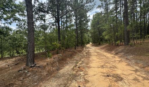 Photo #5 of Lizzie Jeter, Cameron, NC 5.7 acres