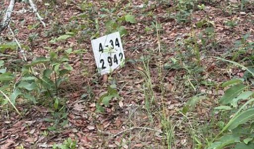 Photo #4 of 2942 Sugar Sand, Bolivia, NC 0.3 acres