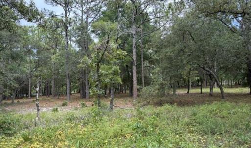 Photo #2 of 2942 Sugar Sand, Bolivia, NC 0.3 acres