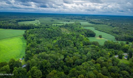Photo #5 of 1601 Hills Neck, Ernul, NC 238.0 acres