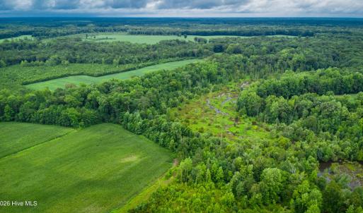 Photo #21 of 1601 Hills Neck, Ernul, NC 238.0 acres