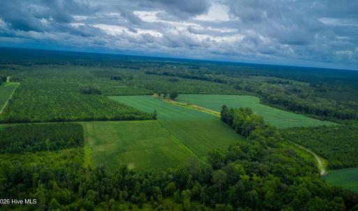 Photo #11 of 1601 Hills Neck, Ernul, NC 238.0 acres