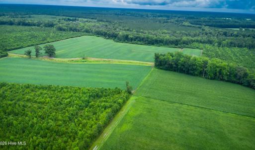 Photo #23 of 1601 Hills Neck, Ernul, NC 238.0 acres