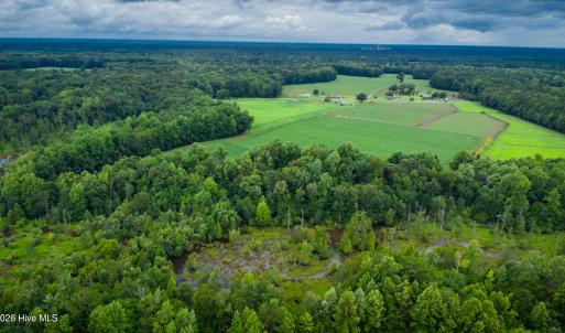 Photo #29 of 1601 Hills Neck, Ernul, NC 238.0 acres