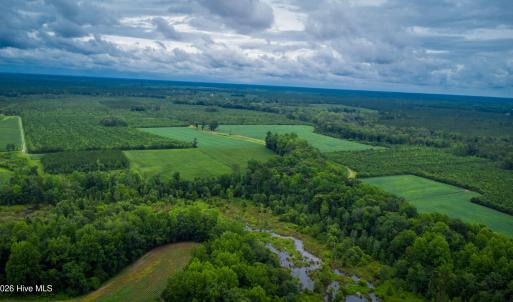 Photo #10 of 1601 Hills Neck, Ernul, NC 238.0 acres