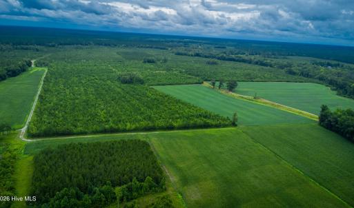 Photo #12 of 1601 Hills Neck, Ernul, NC 238.0 acres