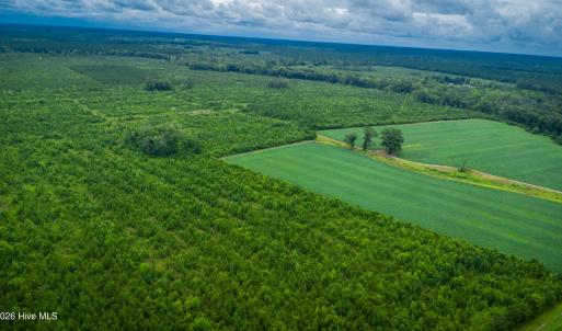 Photo #24 of 1601 Hills Neck, Ernul, NC 238.0 acres