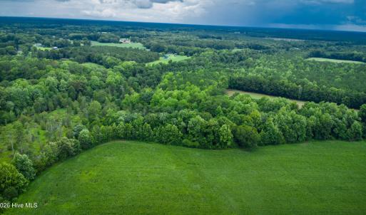 Photo #27 of 1601 Hills Neck, Ernul, NC 238.0 acres