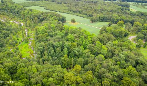 Photo #7 of 1601 Hills Neck, Ernul, NC 238.0 acres