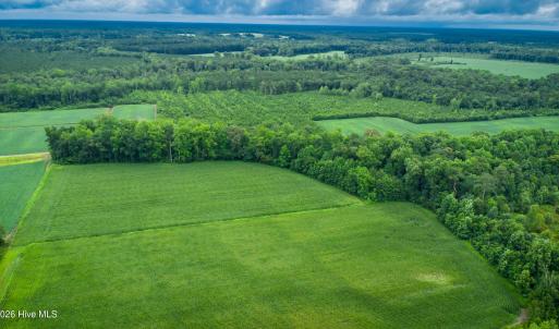 Photo #22 of 1601 Hills Neck, Ernul, NC 238.0 acres