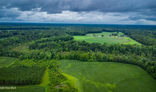 Photo #17 of 1601 Hills Neck, Ernul, NC 238.0 acres