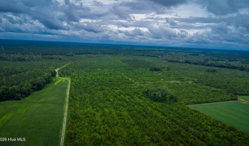 Photo #13 of 1601 Hills Neck, Ernul, NC 238.0 acres