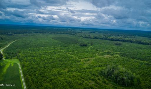 Photo #15 of 1601 Hills Neck, Ernul, NC 238.0 acres