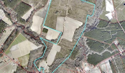 Photo #2 of 1601 Hills Neck, Ernul, NC 238.0 acres
