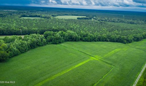 Photo #26 of 1601 Hills Neck, Ernul, NC 238.0 acres
