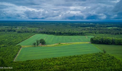 Photo #16 of 1601 Hills Neck, Ernul, NC 238.0 acres