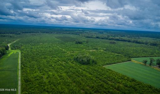 Photo #14 of 1601 Hills Neck, Ernul, NC 238.0 acres