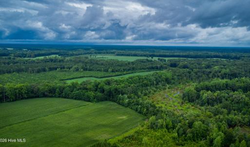 Photo #20 of 1601 Hills Neck, Ernul, NC 238.0 acres