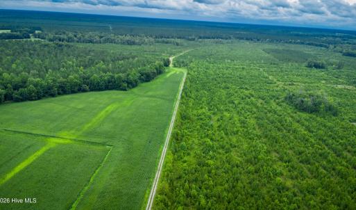 Photo #25 of 1601 Hills Neck, Ernul, NC 238.0 acres