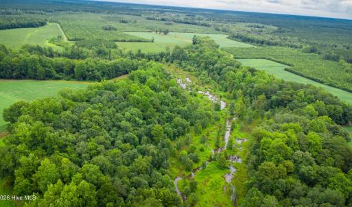 Photo #9 of 1601 Hills Neck, Ernul, NC 238.0 acres