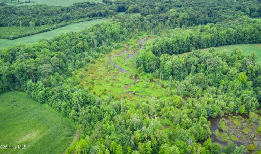 Photo #31 of 1601 Hills Neck, Ernul, NC 238.0 acres