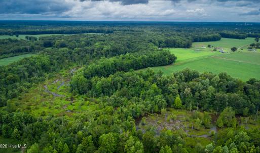 Photo #30 of 1601 Hills Neck, Ernul, NC 238.0 acres