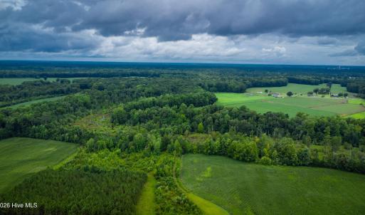 Photo #18 of 1601 Hills Neck, Ernul, NC 238.0 acres