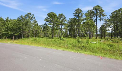 Photo #4 of 247 Shell Castle, Vandemere, NC 2.3 acres