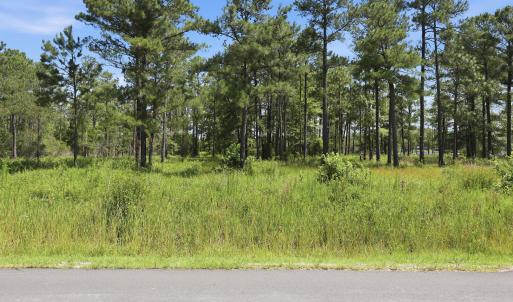 Photo #3 of 247 Shell Castle, Vandemere, NC 2.3 acres