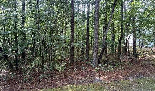 Photo #3 of 149 Hastings, West End, NC 0.8 acres