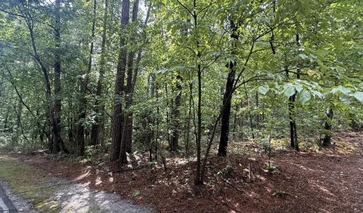 Photo #1 of 149 Hastings, West End, NC 0.8 acres