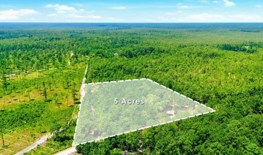 Photo #21 of 8027 Funston, Winnabow, NC 5.0 acres