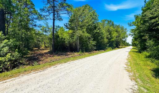Photo #3 of 8027 Funston, Winnabow, NC 5.0 acres