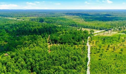 Photo #10 of 8027 Funston, Winnabow, NC 5.0 acres