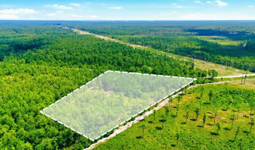 Photo #9 of 8027 Funston, Winnabow, NC 5.0 acres