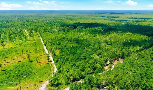 Photo #6 of 8027 Funston, Winnabow, NC 5.0 acres