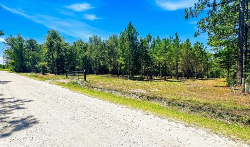 Photo #4 of 8027 Funston, Winnabow, NC 5.0 acres