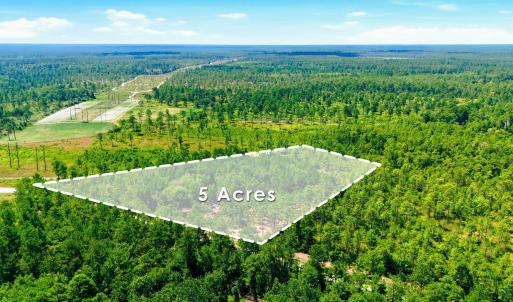 Photo #17 of 8027 Funston, Winnabow, NC 5.0 acres
