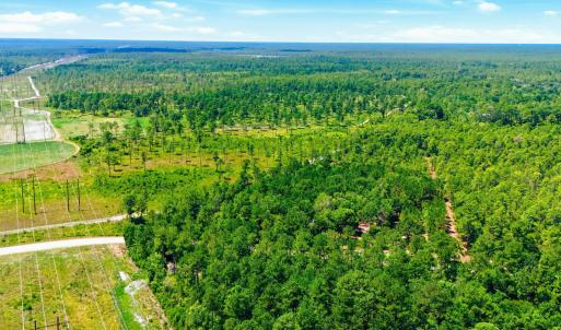 Photo #18 of 8027 Funston, Winnabow, NC 5.0 acres