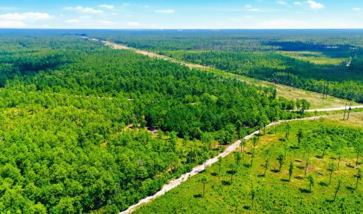Photo #8 of 8027 Funston, Winnabow, NC 5.0 acres