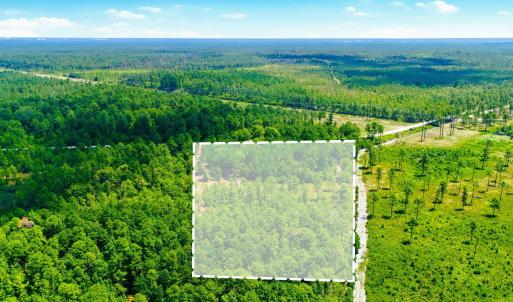 Photo #11 of 8027 Funston, Winnabow, NC 5.0 acres