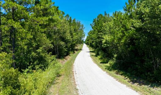 Photo #5 of 8027 Funston, Winnabow, NC 5.0 acres