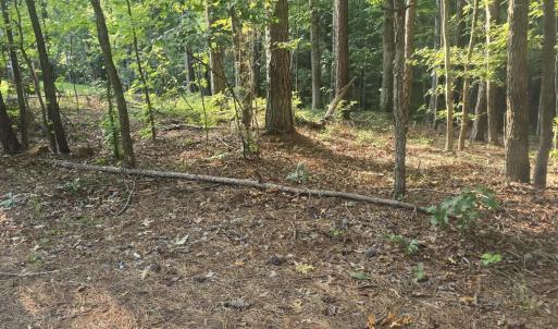 Photo #4 of Lot 15 B1 Southwind, McCormick, SC 0.3 acres