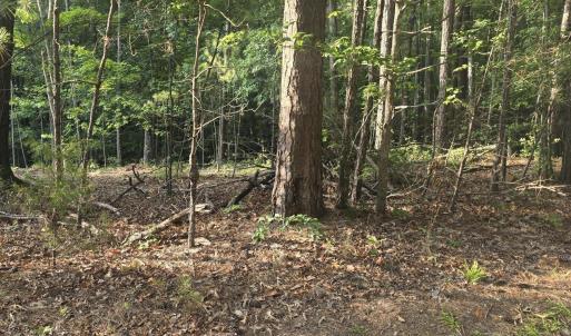 Photo #5 of Lot 15 B1 Southwind, McCormick, SC 0.3 acres